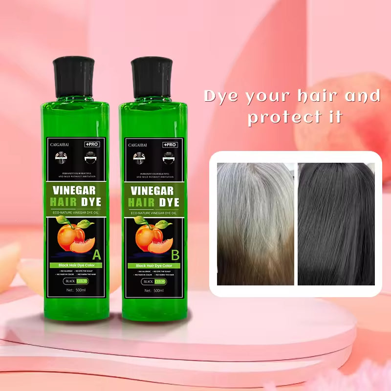 Fruit Extract Ammonia Free No Stain Hair Black Color Cream 500ml*2 OEM Fruit Vinegar Hair Dye for Men and Women