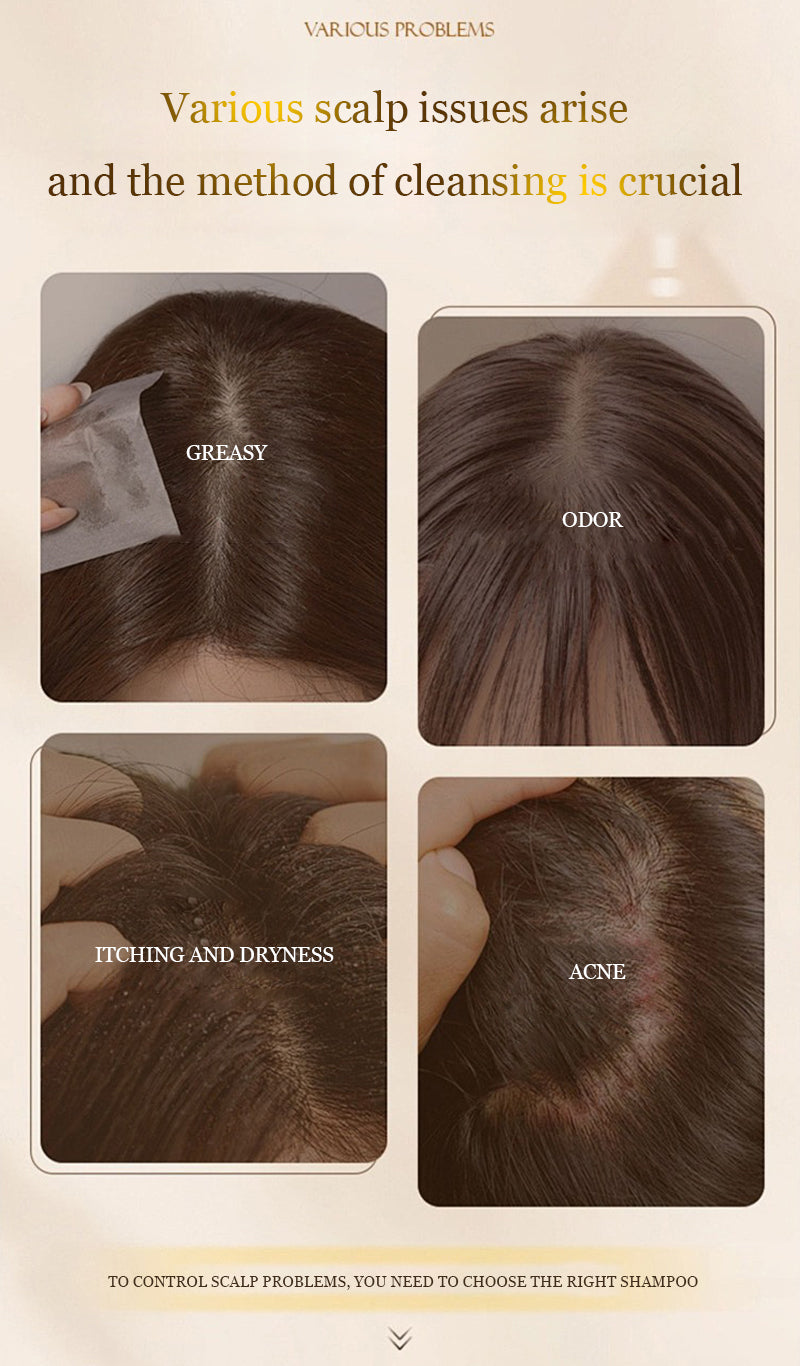 Best Collagen Shampoo for Anti Hair Loss Treatment Smooth Hair Conditioner Support OEM Hair Care Set