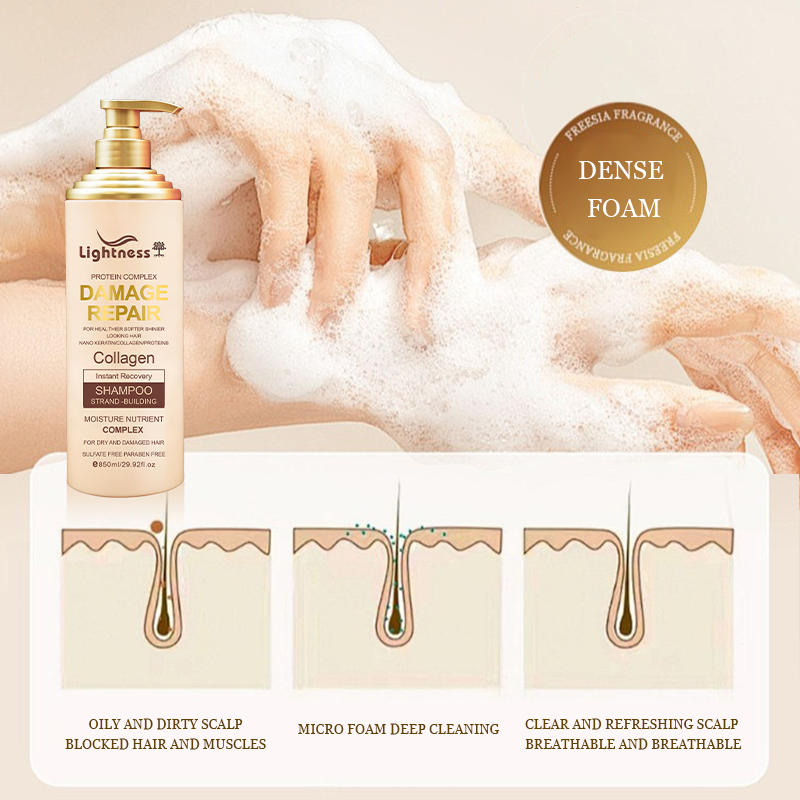 Best Collagen Shampoo for Anti Hair Loss Treatment Smooth Hair Conditioner Support OEM Hair Care Set