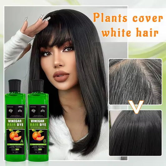 Fruit Extract Ammonia Free No Stain Hair Black Color Cream 500ml*2 OEM Fruit Vinegar Hair Dye for Men and Women