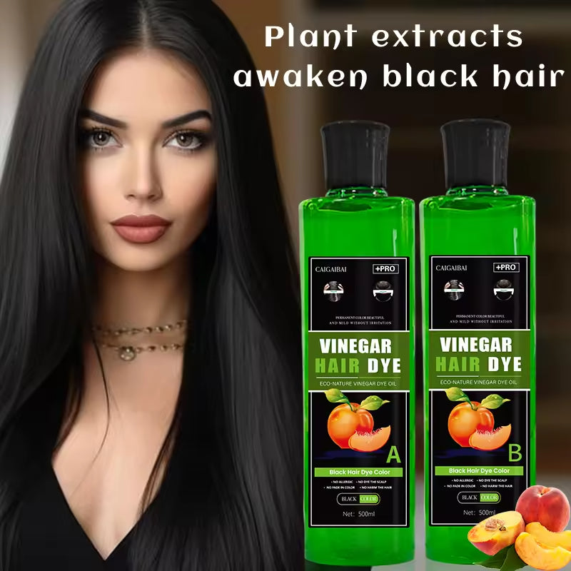 Fruit Extract Ammonia Free No Stain Hair Black Color Cream 500ml*2 OEM Fruit Vinegar Hair Dye for Men and Women