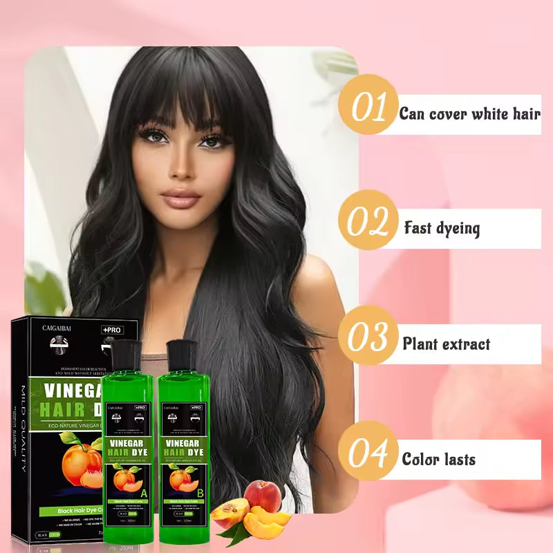 Fruit Extract Ammonia Free No Stain Hair Black Color Cream 500ml*2 OEM Fruit Vinegar Hair Dye for Men and Women